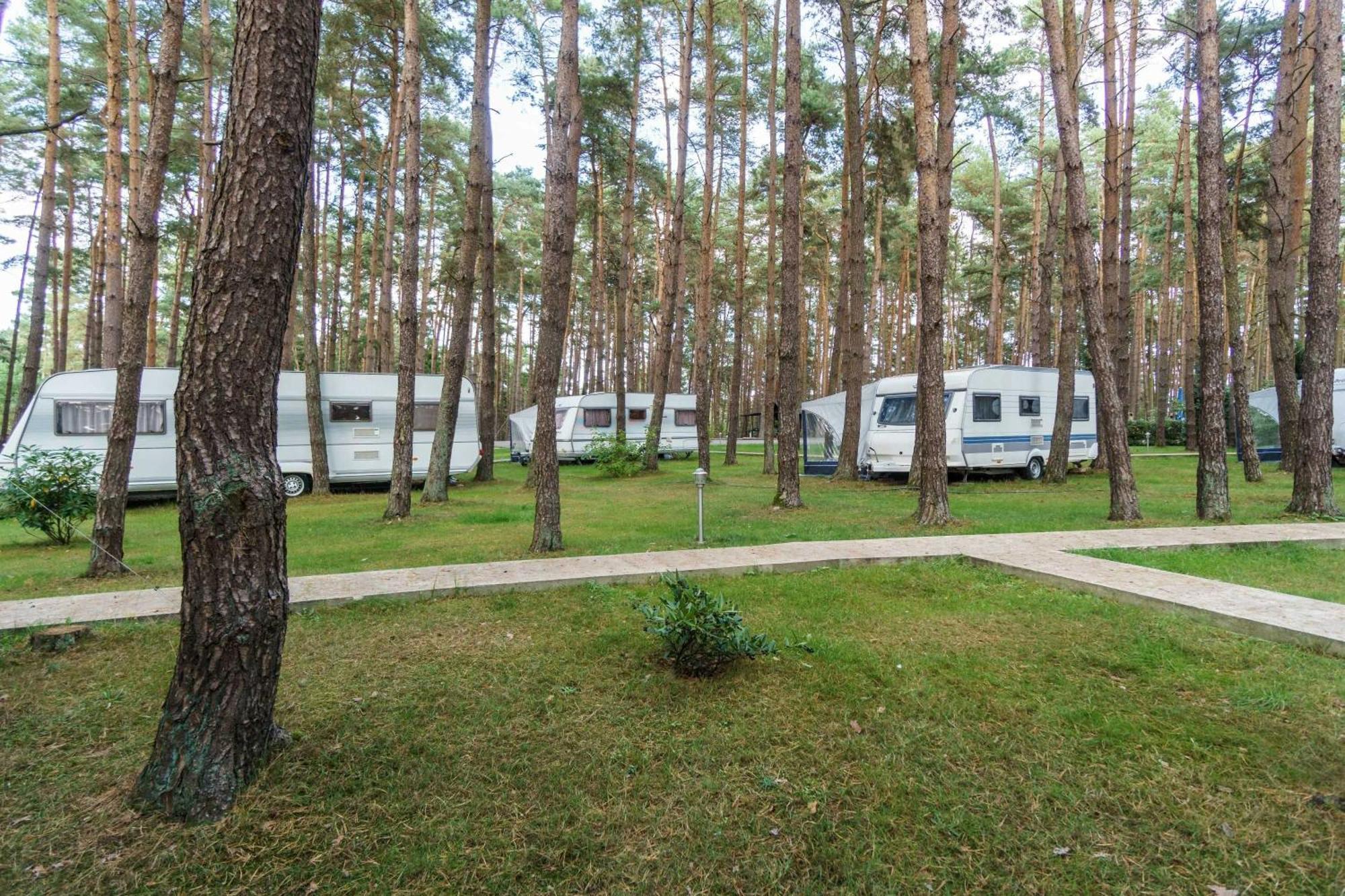 Urlaub Im Wohnwagen Mitten Im Wald Lutow