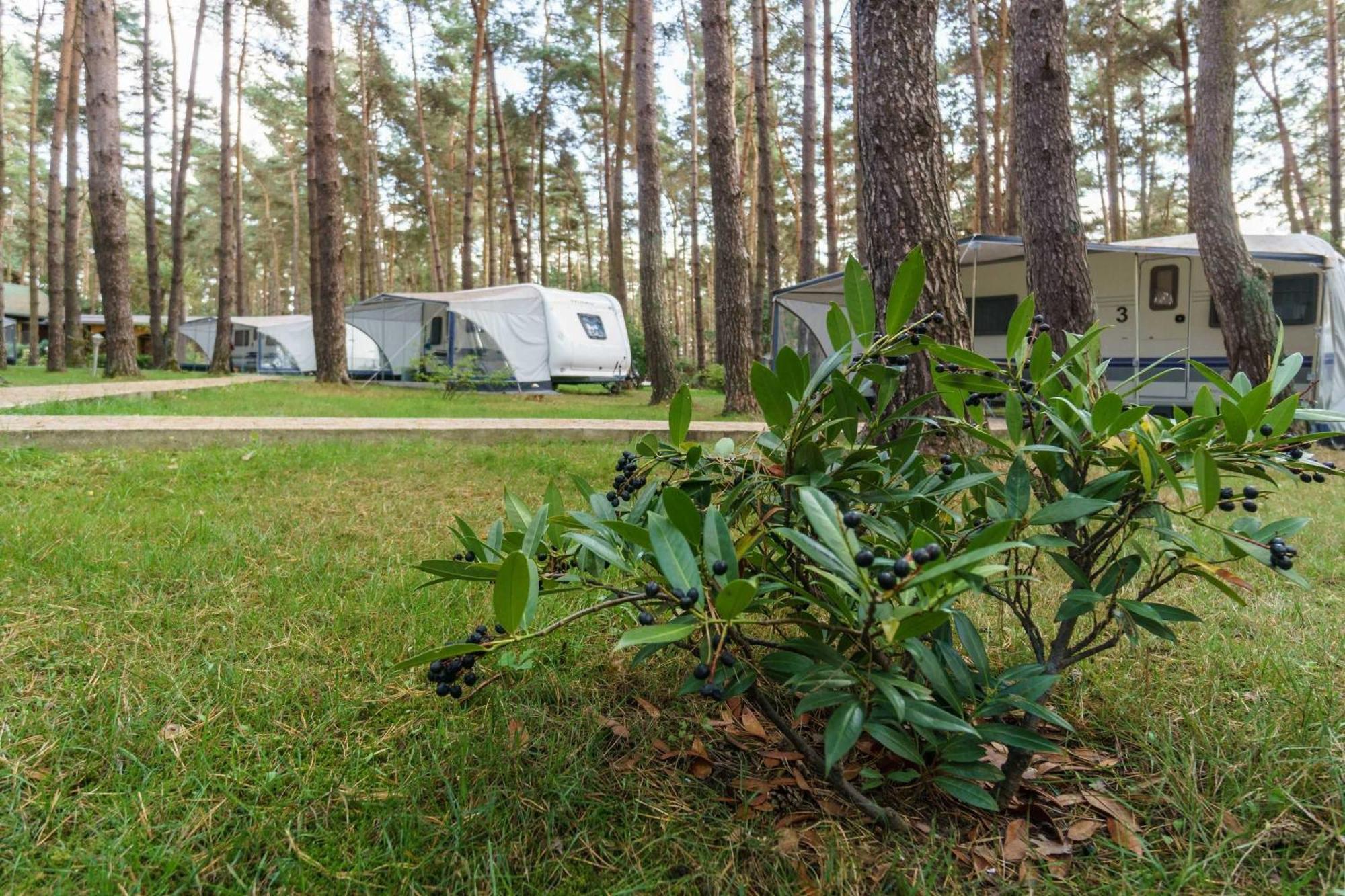 Campingplatz Urlaub Im Wohnwagen Mitten Im Wald *