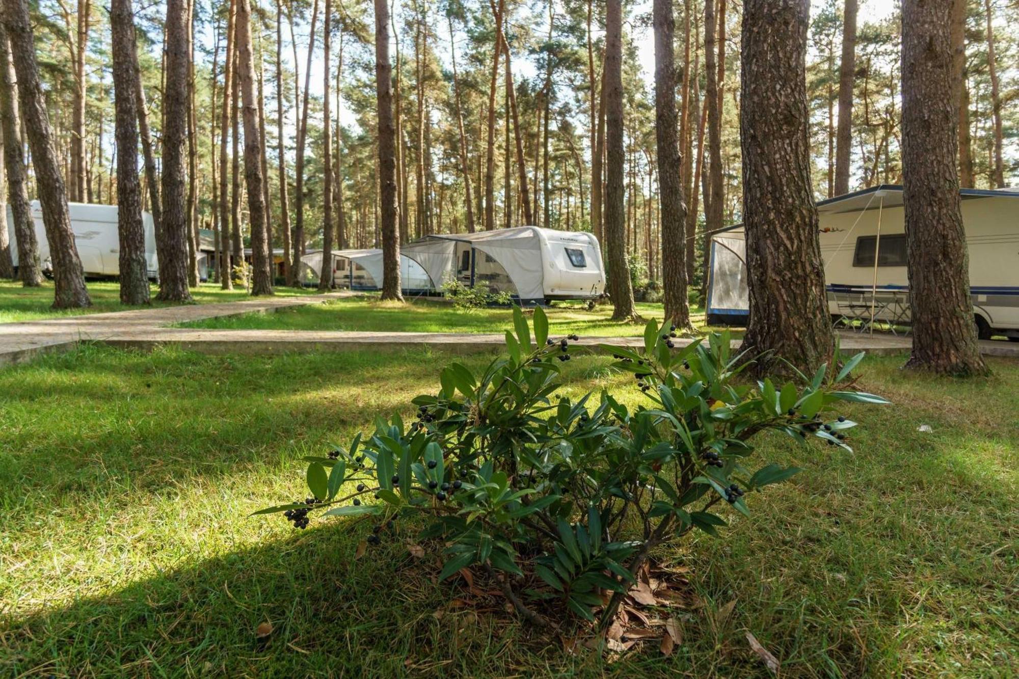 Campingplatz Urlaub Im Wohnwagen Mitten Im Wald Lutow