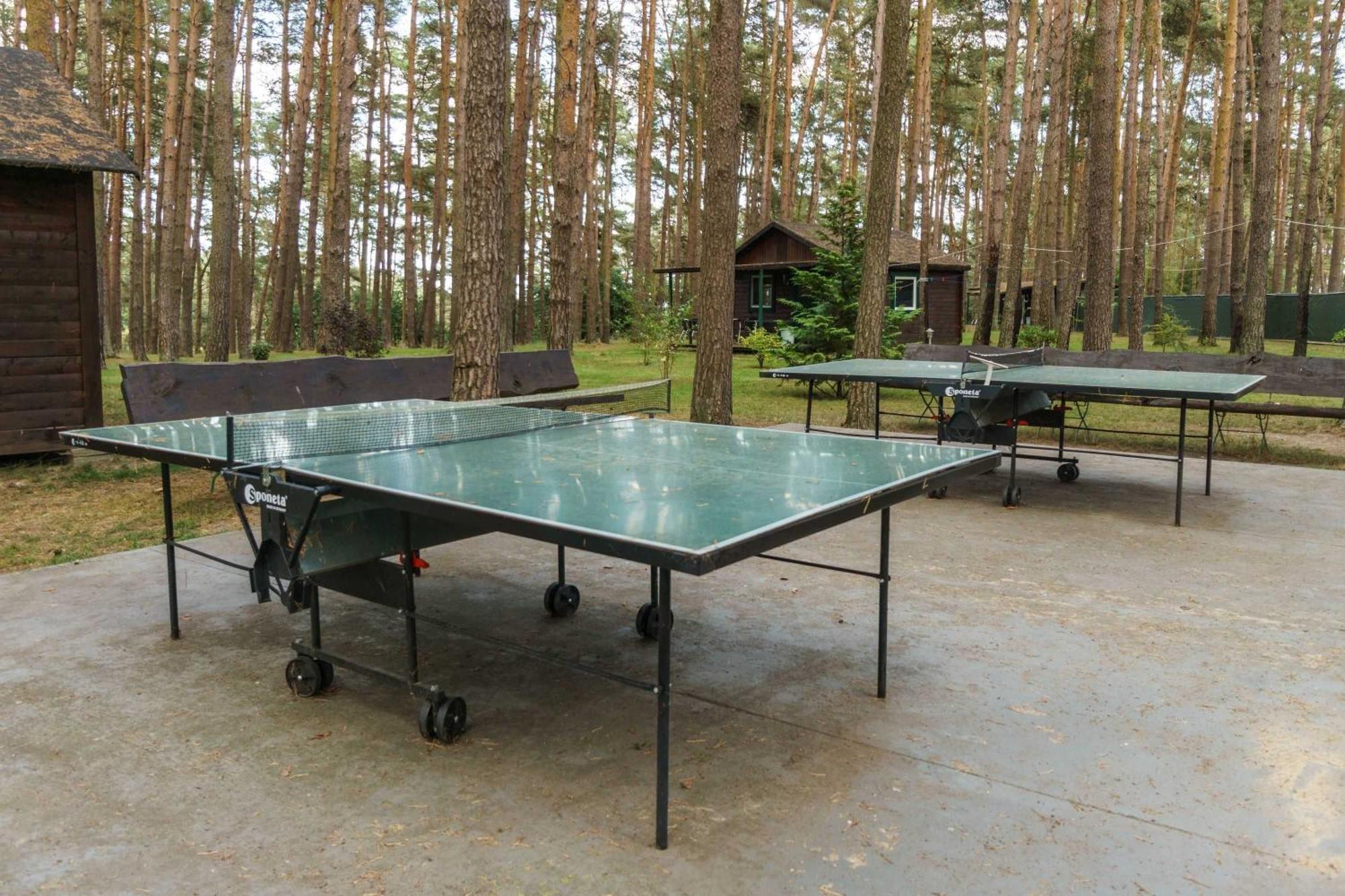Urlaub Im Wohnwagen Mitten Im Wald Campingplatz *
