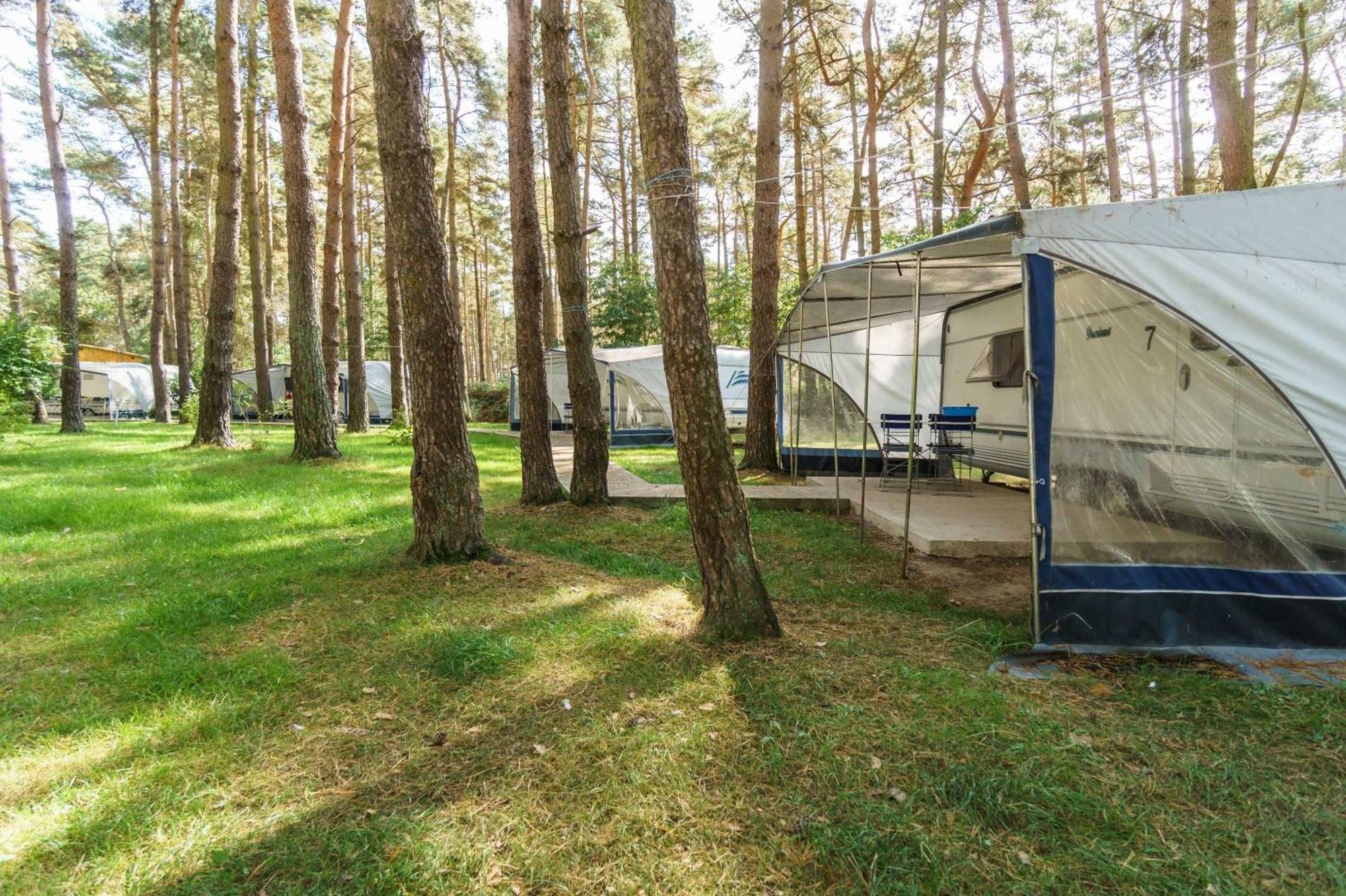 Urlaub Im Wohnwagen Mitten Im Wald * Lutow