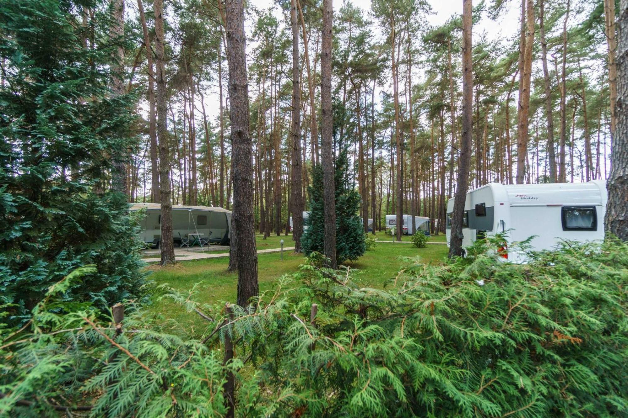 Urlaub Im Wohnwagen Mitten Im Wald *